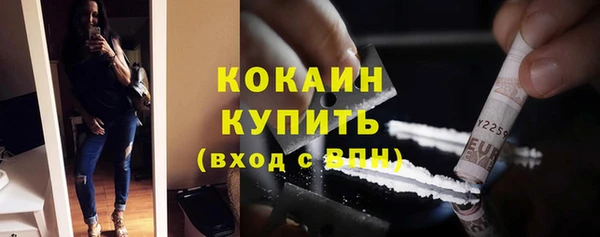 соль ск Алзамай