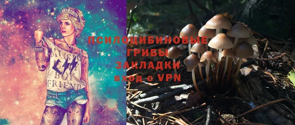 соль ск Алзамай