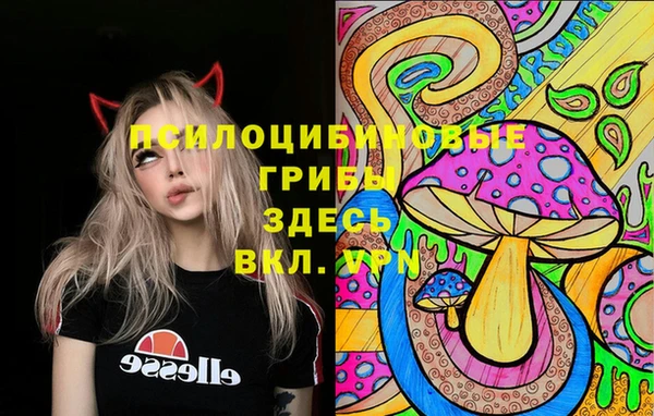 не бодяженный Алексин