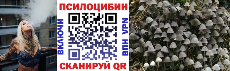Галлюциногенные грибы Magic Shrooms  цена   Александровск 