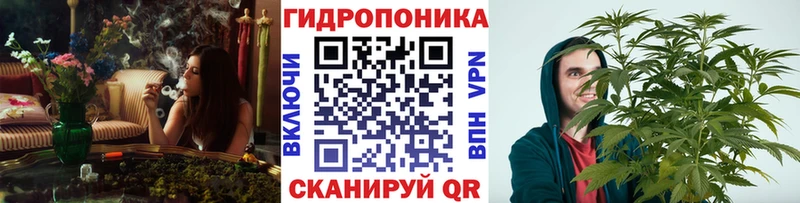продажа наркотиков  Александровск  Шишки марихуана Bruce Banner 